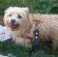 BOBY