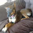 Nina