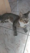 Fred