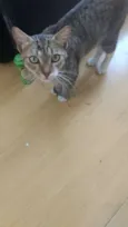 Fred