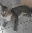 Fred