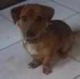 Atila