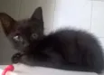 Zulu