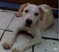 ainda sem nome