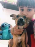 Laila