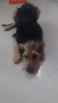 Aquiles
