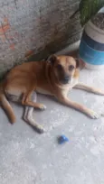 Spike