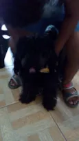 Jhon