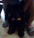 Jhon