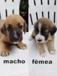 Ainda sem nome