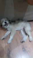 Jack