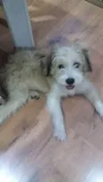Jack