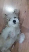 Jack