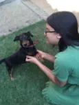 Pretinha e Toquinho