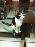 Mia