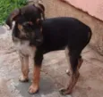 Lala