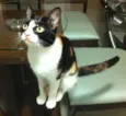 Mia