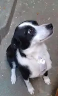Bob