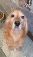 Bob