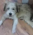 Jack