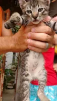 Sara