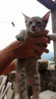 Mara