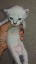 Mãe : Nina