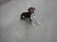 billy