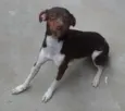 billy