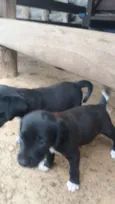 Não tem