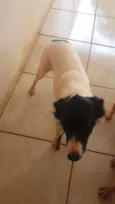 Dori e Bethânia 