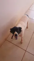 Dori e Bethânia 