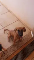 Dori e Bethânia 