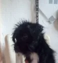 Bolty