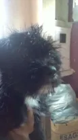 Bolty