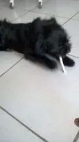 Bolty