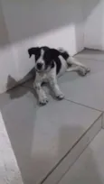 Lucy