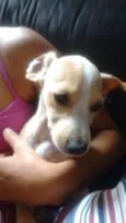 branquinho
