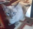 Linda