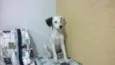 Sem nome