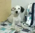 Sem nome