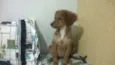 Sem nome