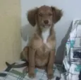 Sem nome
