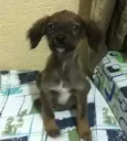Sem nome