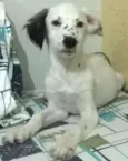 Sem nome