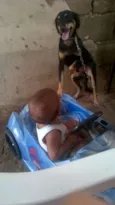 leao