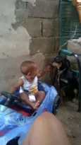 leao