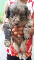 MALHADINHO