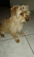 Zé