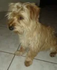 Zé